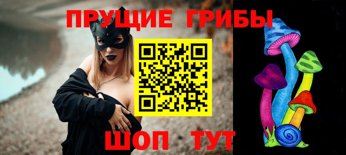 Псилоцибиновые грибы мицелий Элиста