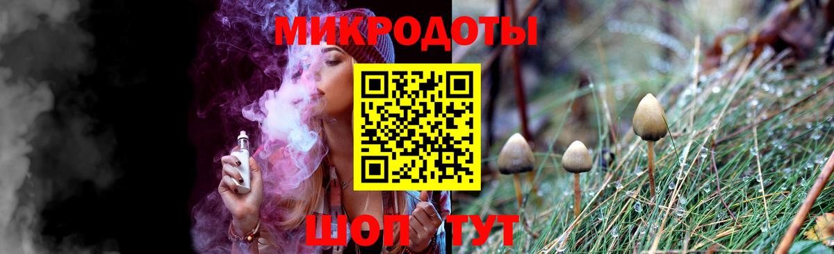 Псилоцибиновые грибы Magic Shrooms  Вход с VPN  Элиста  продажа наркотиков  Псилоцибиновые грибы Cubensis 